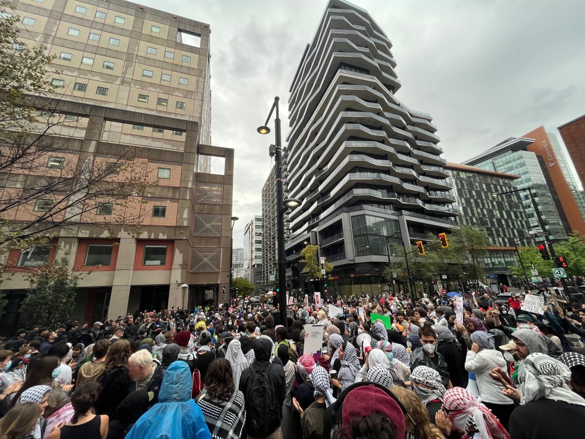 Protesters