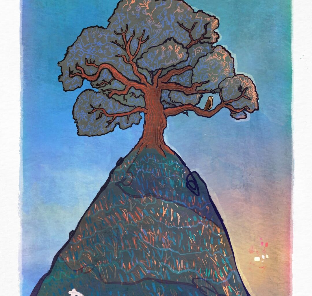 Derwen: oak, Derwydd: druid