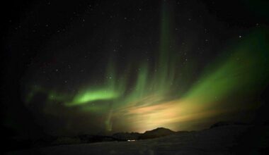 Northern Lights [Sommarøy] 🇳🇴