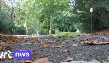 Storm Benjamin - Parken en bossen gaan dicht door storm 'Benjamin', code oranje voor Antwerpen, Oost- en West-Vlaanderen | VRT NWS: nieuws