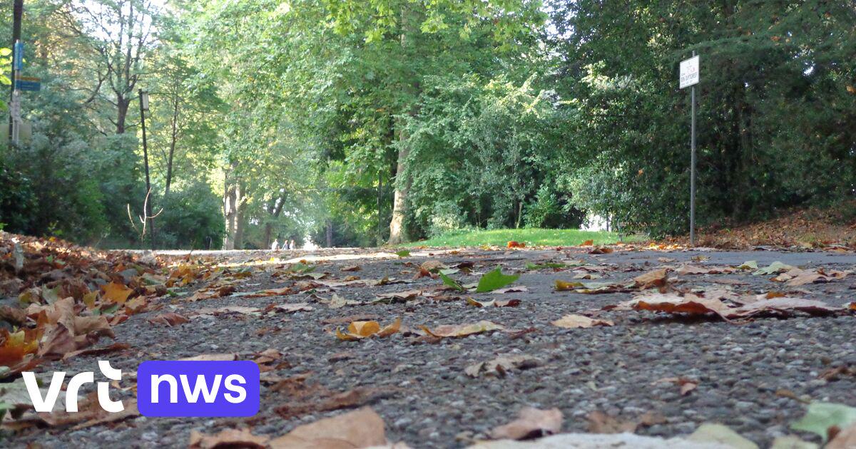 Storm Benjamin - Parken en bossen gaan dicht door storm 'Benjamin', code oranje voor Antwerpen, Oost- en West-Vlaanderen | VRT NWS: nieuws