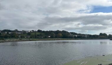 Went to Newry today, as per your suggestions.