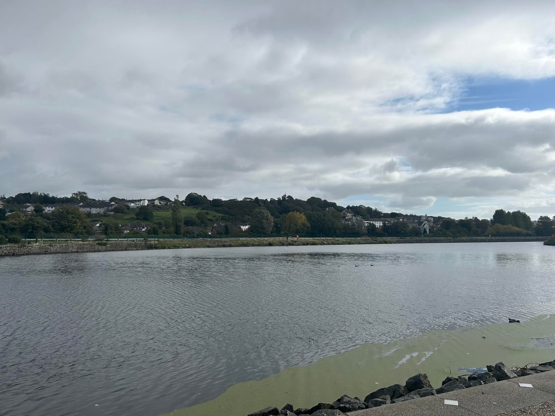 Went to Newry today, as per your suggestions.