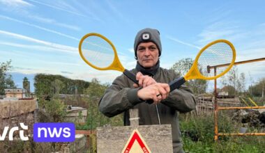 Imker vangt 1.000 Aziatische hoornaars met elektrische vliegenmeppers: "Denk dat ik de strijd heb gewonnen" | VRT NWS: nieuws