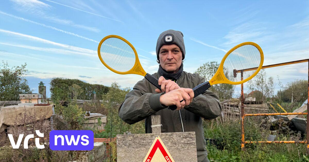 Imker vangt 1.000 Aziatische hoornaars met elektrische vliegenmeppers: "Denk dat ik de strijd heb gewonnen" | VRT NWS: nieuws