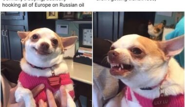 If an asteroid were to wipe out Earth tomorrow, Poland would find a way to blame Germany for it.