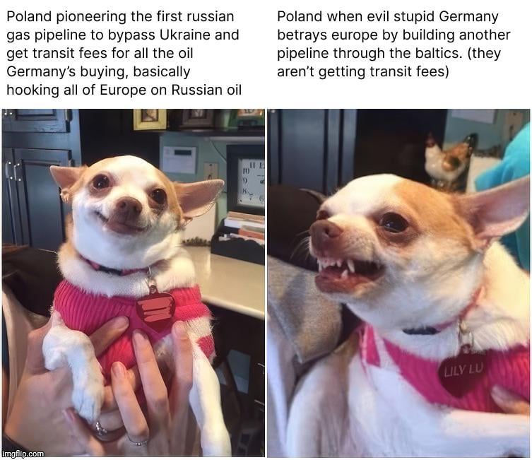 If an asteroid were to wipe out Earth tomorrow, Poland would find a way to blame Germany for it.