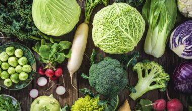 More veg, less meat: the latest global update on a diet that’s good for people and the planet