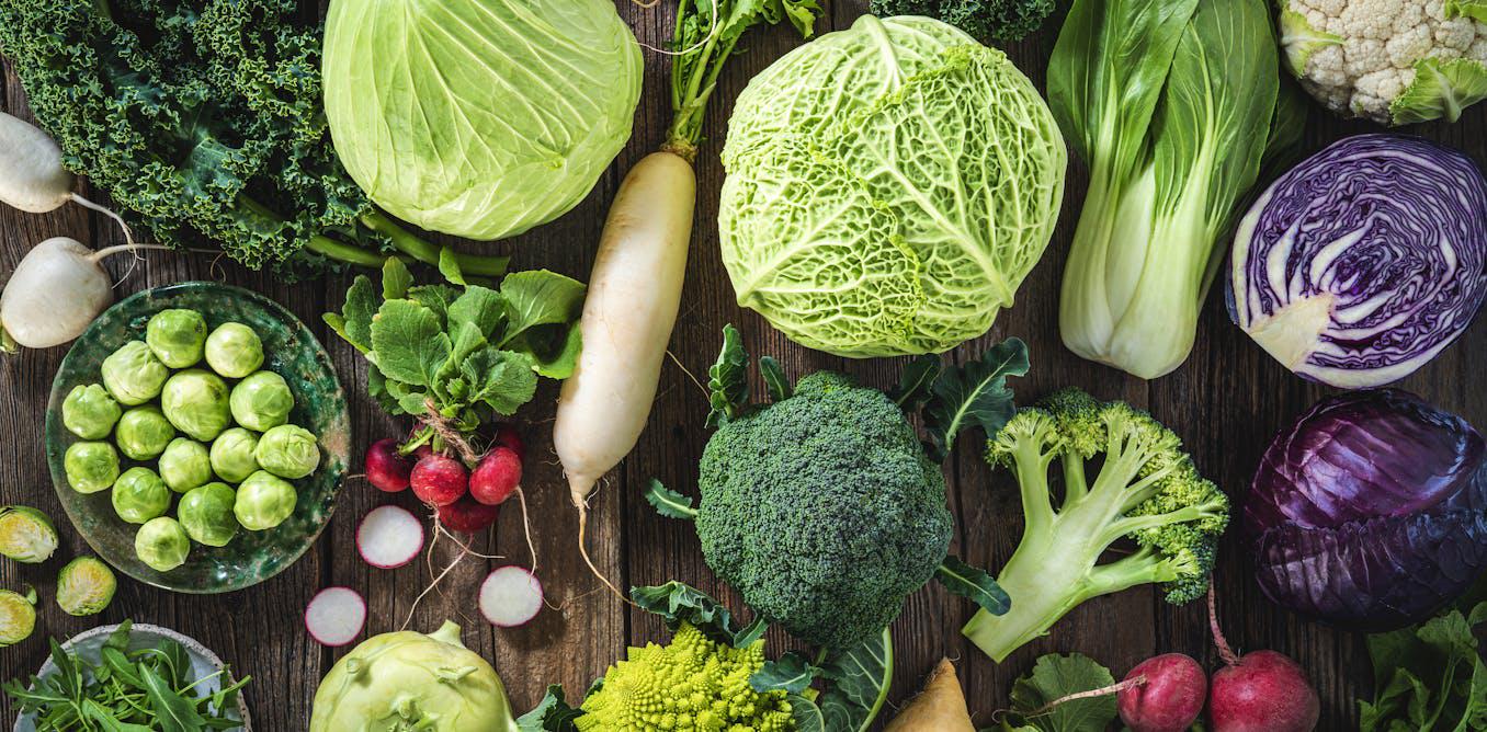 More veg, less meat: the latest global update on a diet that’s good for people and the planet