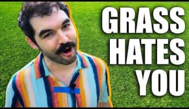 America's Dumbest Crop | Climate Town with Rollie Williams