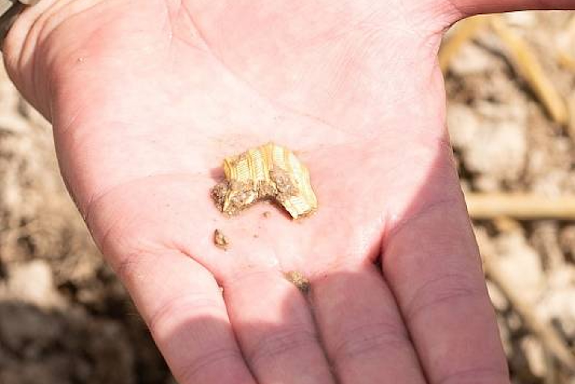 a close-up of a small fragment of gold in a man's hand