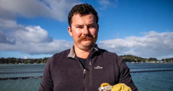 Watercare sewage spill devastates Auckland oyster farmers
