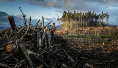 IEA reiterates ‘no new oil and gas needed’ if global warming is limited to 1.5°C | News | Eco-Business