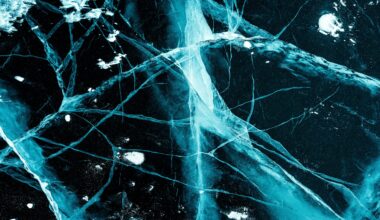 How does climate change affect our brains?