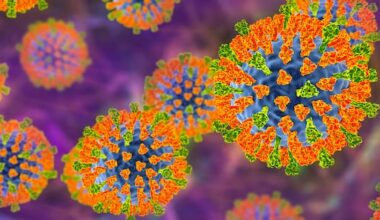 Measles case at Wellington College prompts Year 11 stay home order