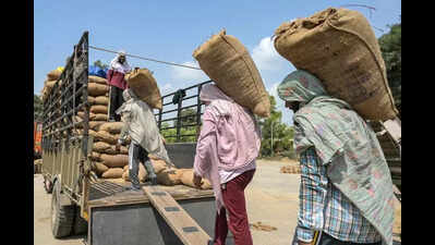 Migrant labour shortage hits Punjab paddy markets