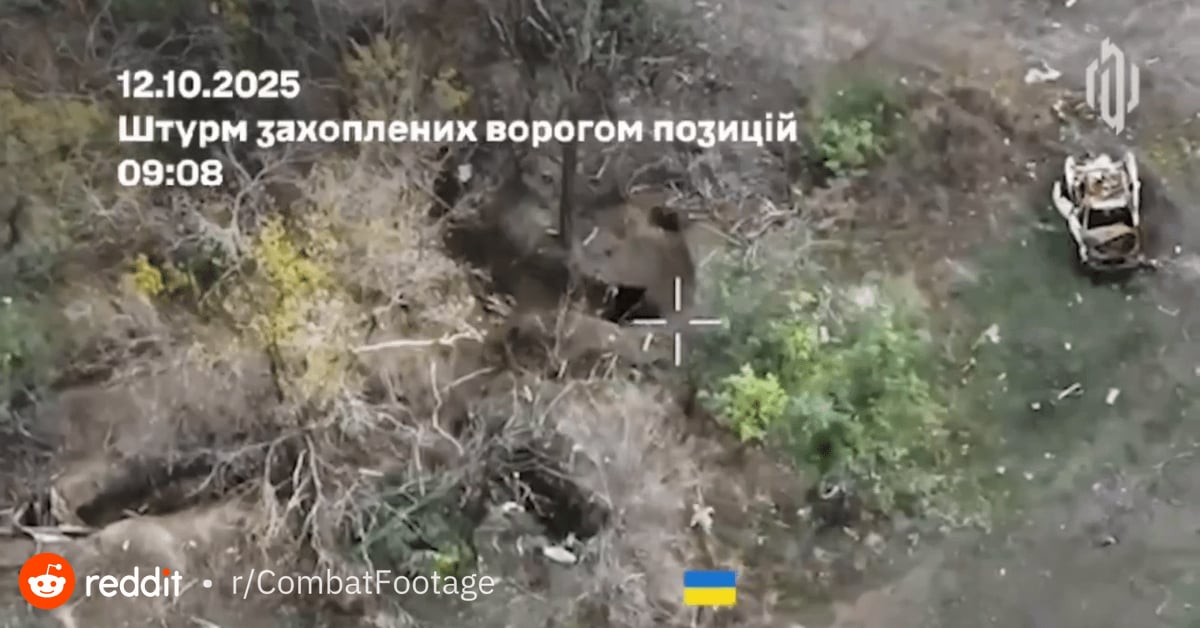 Russian soldiers stormed a Ukrainian position and took soldiers captive. Ukrainian soldiers launched a counterattack, cleared the dugout, freed their comrades and took out the enemies. Southeast of the village of Oleksandrograd, Donetsk region. 141st Mechanized Brigade. 12.10.2025