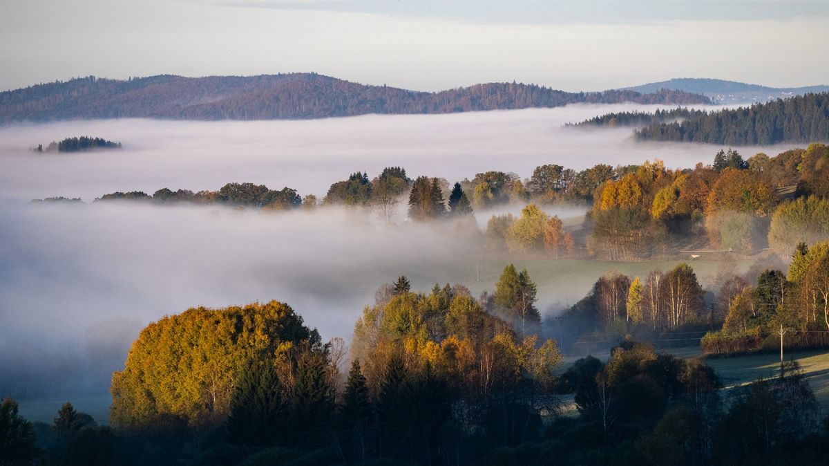 Novinky.cz