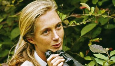 In her final interview, Jane Goodall issues urgent call to protect the planet. “Because if we don’t, that’s the end of our species. Humans are not exempt from extinction.”