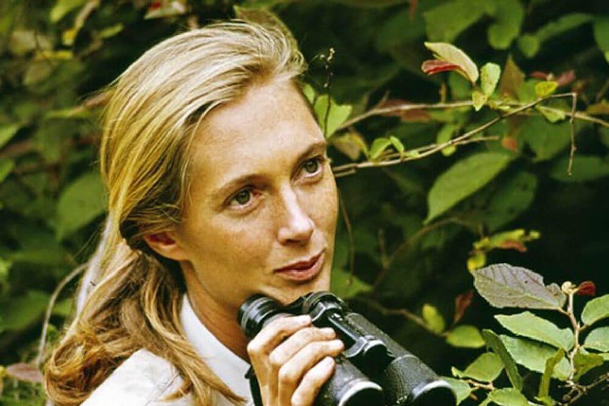 In her final interview, Jane Goodall issues urgent call to protect the planet. “Because if we don’t, that’s the end of our species. Humans are not exempt from extinction.”