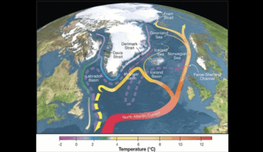 Risk of Atlantic current collapsing much higher than previously expected. The AMOC brings warm water from tropical parts of the Atlantic Ocean up to Europe, where it then cools again and goes back south in a loop.