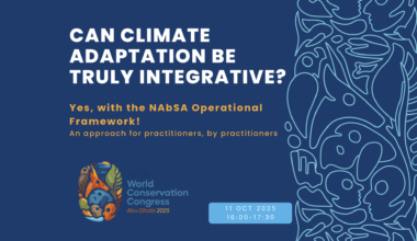 Co-creating Resilience: NAbSA’s Operational Framework paves the way for integrative climate adaptation and resilience - News