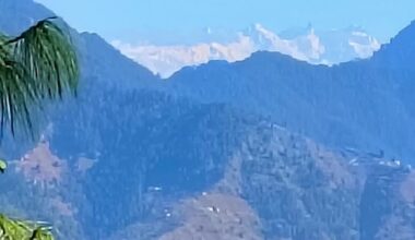 Where is the incentive for Himalayan states to protect their environment?