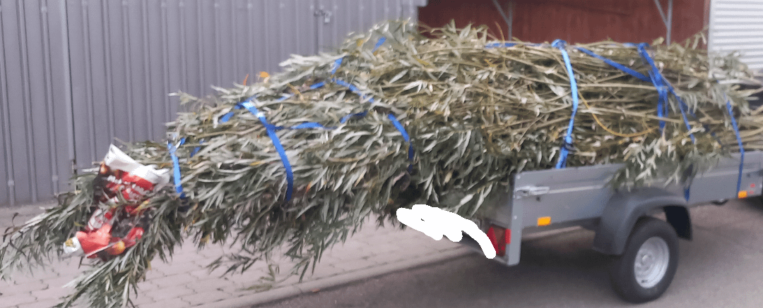 UPDATE zu: "Woher bekomme ich günstig Weiden-Ruten für einen lebenden Zaun?"