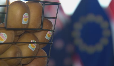 New Zealand woos European investment amid global trade tension