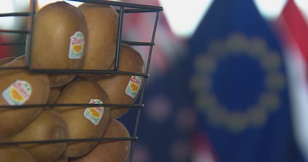 New Zealand woos European investment amid global trade tension