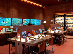 Bot brews, sea of silvergrass and time travel at old train station