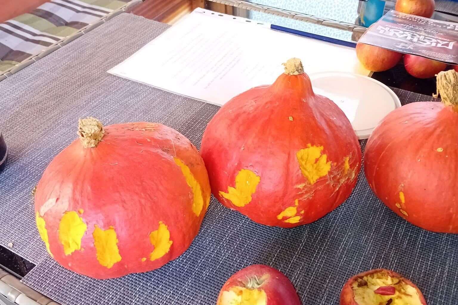 Im Schuppen angenagt worden. Wer könnte es gewesen sein