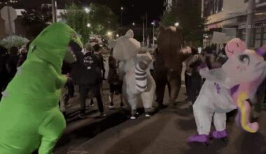 Trump Held 'Antifa' Roundtable To Protect America From Dancing Unicorns