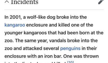 Does anyone remember this story ? I was looking to visit the Zoo and came across this 😭