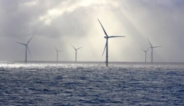 Lithuania's Second Offshore Wind Tender Fails Due to Lack of Interest