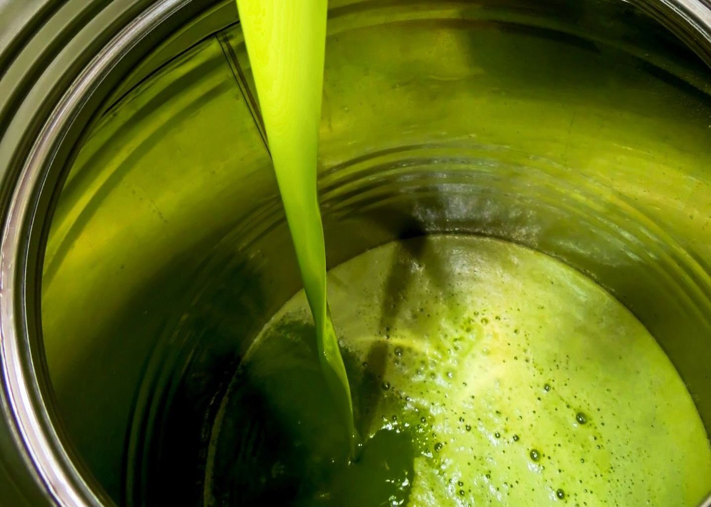 raccolta in crescita ma Italia spaccata e prezzo che non scende