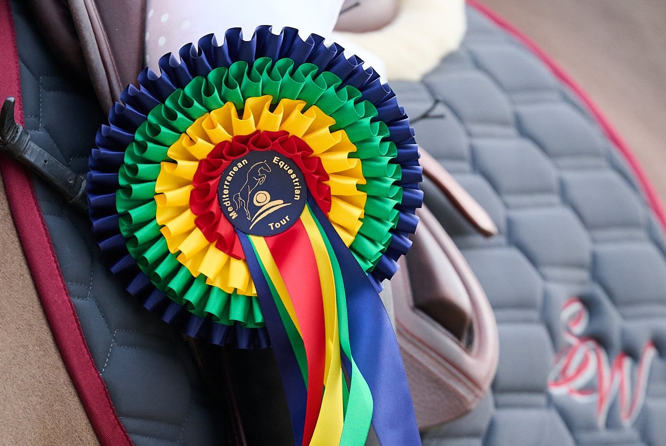 Jérôme Guery, Constant van Paesschen en Mathieu Guery schitteren voor België tijdens Gold rubrieken in Oliva!