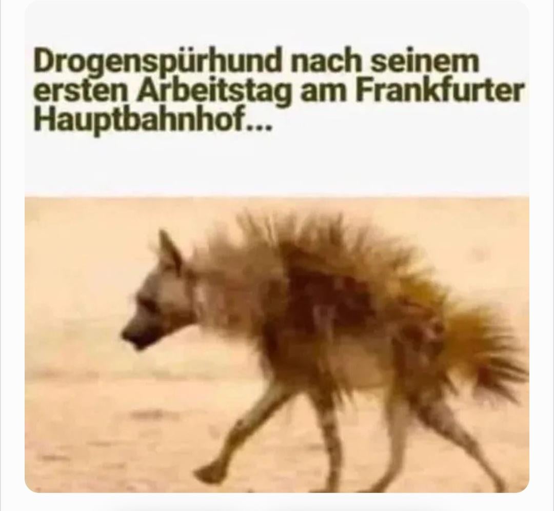 Ich_iel