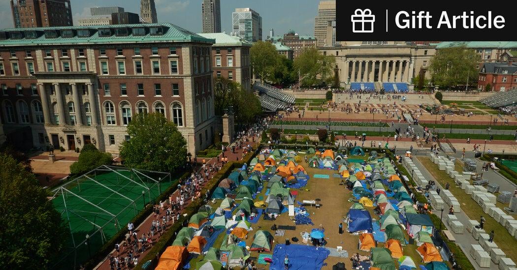 What Happened to Campus Activism Against the War in Gaza?