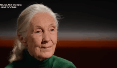 In Final Message of Hope, Jane Goodall Suggests Blasting Trump and Other Hateful Right-Wingers Into Space