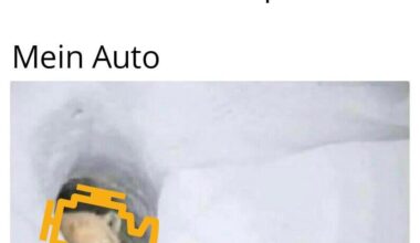 ich_iel