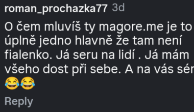 Myslím si, že tenhle komentář perfektně vystihuje českou politickou mentalitu