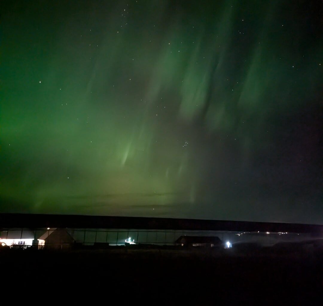 Finally saw the aurora with my own eyes