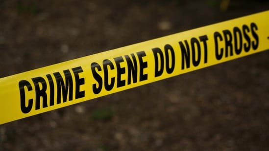 Nicola Tanzi, who was beaten to death outside the Jay Street-MetroTech subway station on Oct. 7. (Representative image)(Pexels) Nicola Tanzi, who was beaten to death outside the Jay Street-MetroTech subway station on Oct. 7. (Representative image)(Pexels)