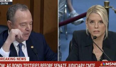 'Apologize!' Pam Bondi explodes at senator in fiery hearing | “Will you apologize to Donald Trump?" she blurted.