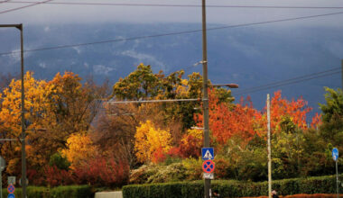 Bulgaria: Foggy Morning, Sunny Day: Bulgaria Enjoys Warm Autumn Weather on October 21