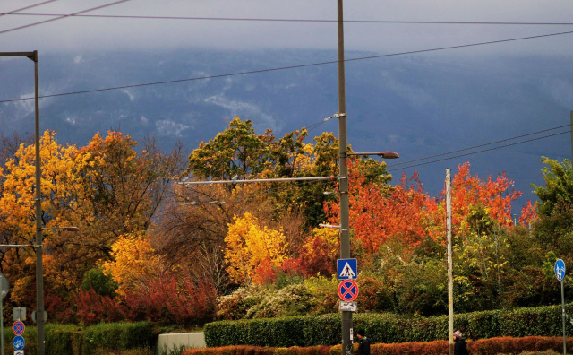 Bulgaria: Foggy Morning, Sunny Day: Bulgaria Enjoys Warm Autumn Weather on October 21