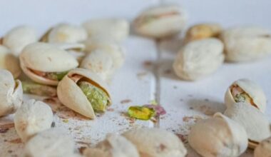 First pistachios planted in Dalmatia mark new chapter in Croatia for sustainable farming