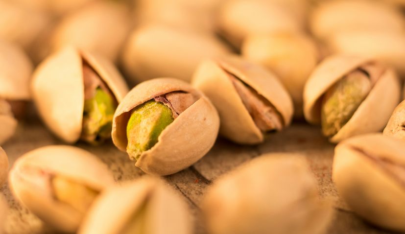 Dalmatia Welcomes Its First Pistachio Orchards