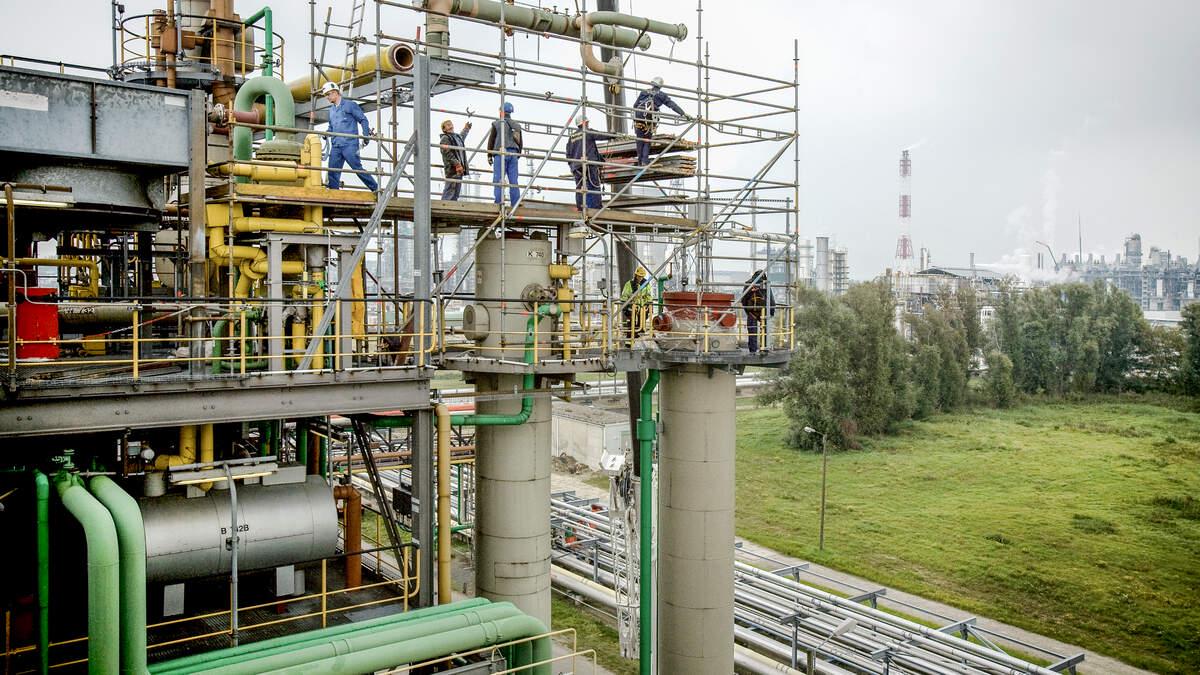 “Uppercut voor de Vlaamse industrie”: Chemiereus BASF Antwerpen schrapt 600 jobs